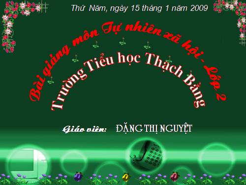 Bài 19. Đường giao thông