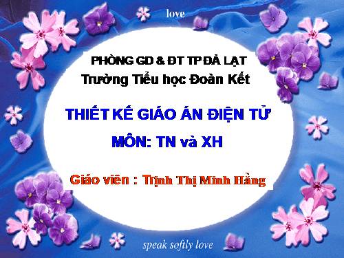 Bài 28. Một số loài vật sống trên cạn