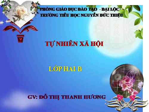Bài 26. Một số loài cây sống dưới nước