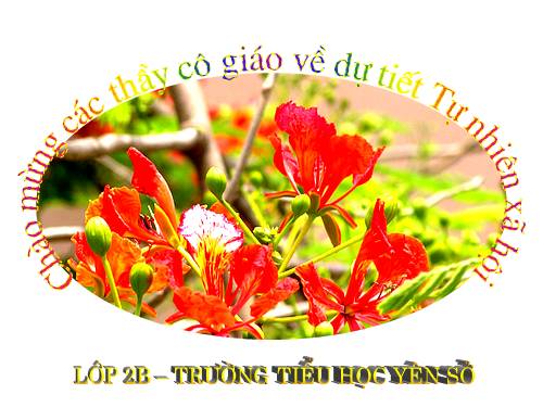 Bài 16. Các thành viên trong nhà trường