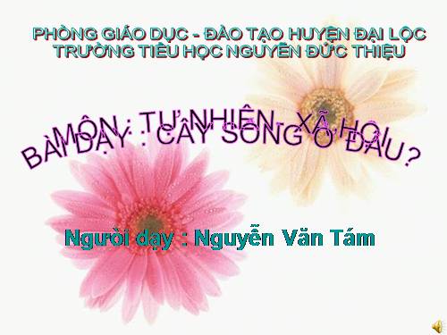 Bài 24. Cây sống ở đâu?