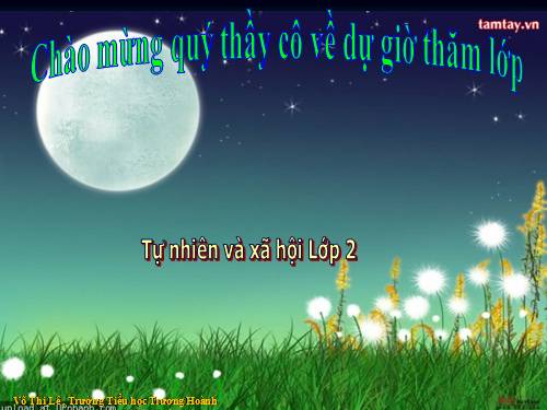 Bài 14. Phòng tránh ngộ độc khi ở nhà