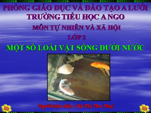Bài 29. Một số loài vật sống dưới nước