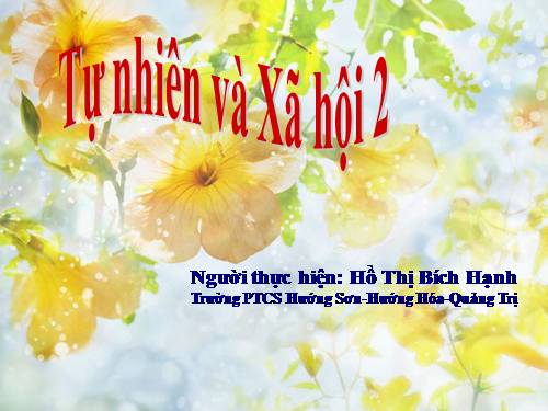 Bài 26. Một số loài cây sống dưới nước