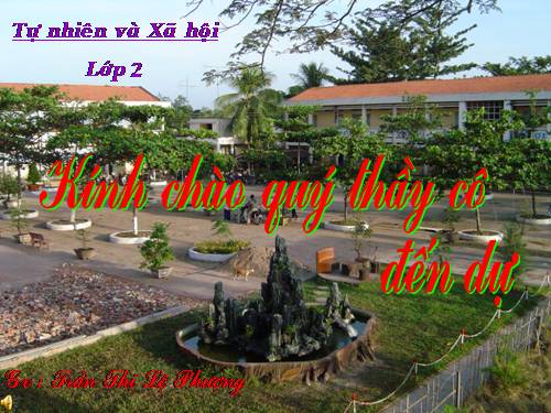 Bài 16. Các thành viên trong nhà trường