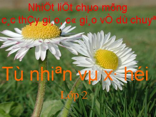 Bài 8. Ăn, uống sạch sẽ