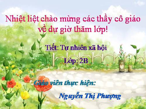 Bài 11. Gia đình