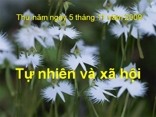 Bài 12. Đồ dùng trong gia đình