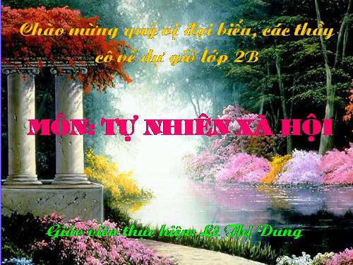 Bài 12. Đồ dùng trong gia đình