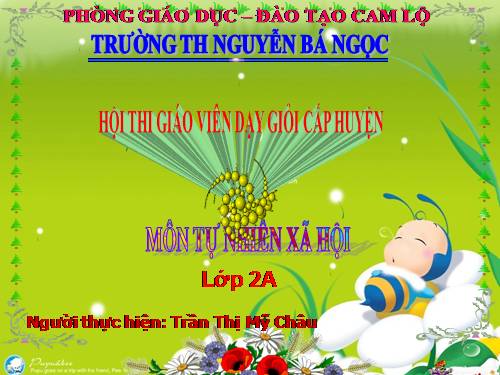 Bài 13. Giữ sạch môi trường xung quanh nhà ở