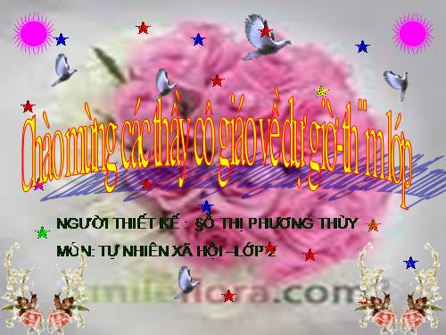 Bài 13. Giữ sạch môi trường xung quanh nhà ở