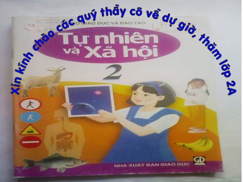 Bài 9. Đề phòng bệnh giun