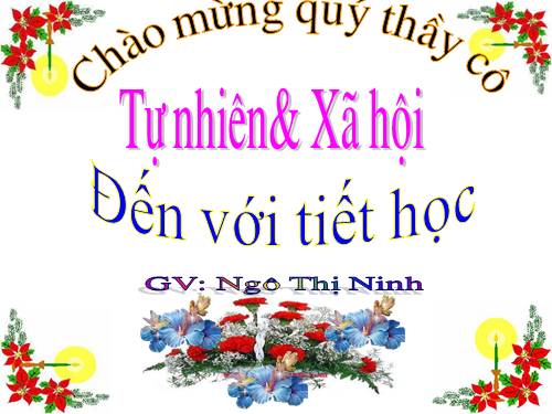Bài 25. Một số loài cây sống trên cạn