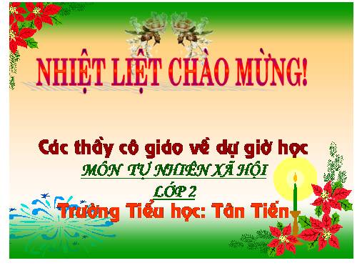 Bài 24. Cây sống ở đâu?