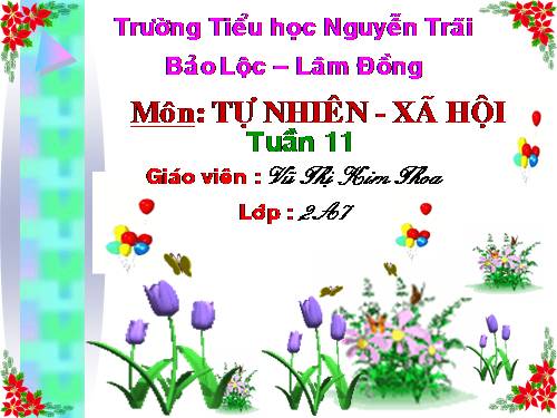Bài 11. Gia đình