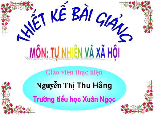 Bài 23. Ôn tập: Xã hội