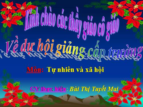 Bài 11. Gia đình