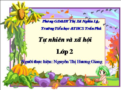 Bài 14. Phòng tránh ngộ độc khi ở nhà