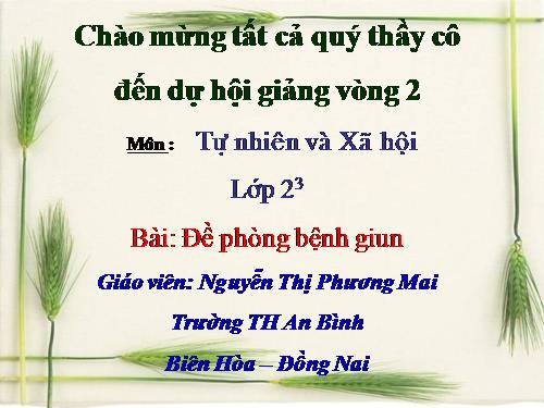 Bài 9. Đề phòng bệnh giun