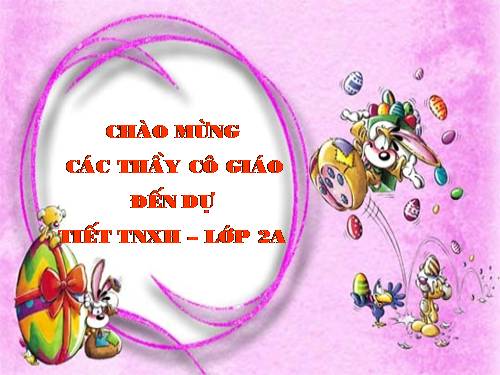 Bài 8. Ăn, uống sạch sẽ