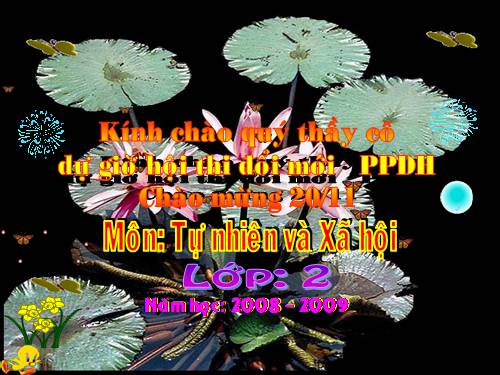 Bài 12. Đồ dùng trong gia đình