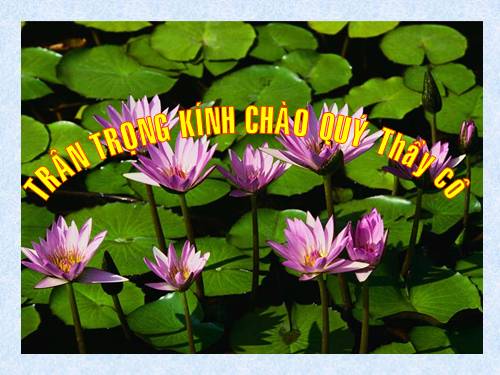 Bài 28. Một số loài vật sống trên cạn
