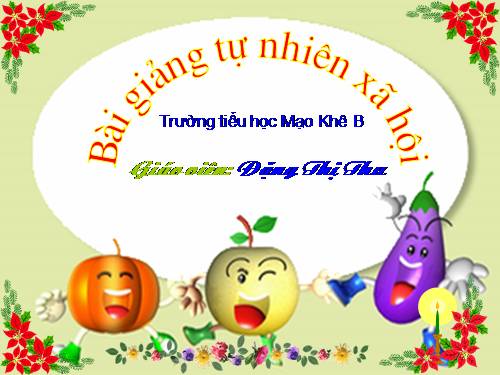 Bài 28. Một số loài vật sống trên cạn