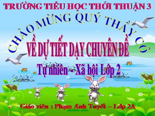 Bài 30. Nhận biết cây cối và các con vật
