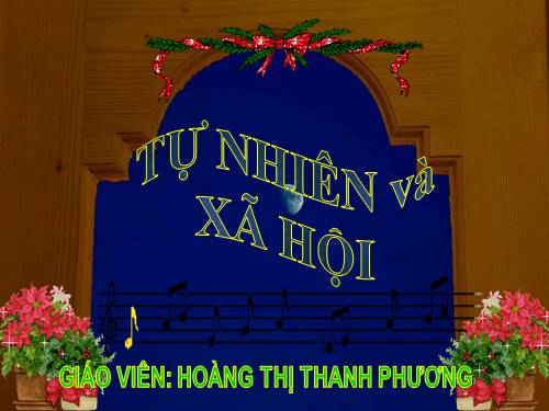 Bài 23. Ôn tập: Xã hội