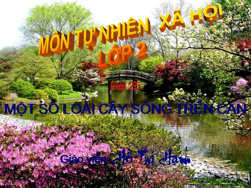 Bài 25. Một số loài cây sống trên cạn