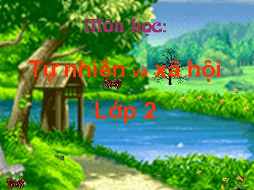 Bài 19. Đường giao thông
