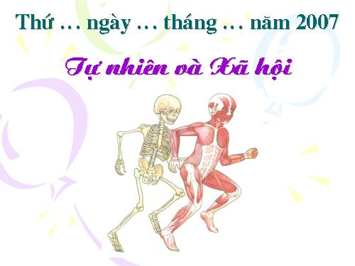 Bài 2. Bộ xương