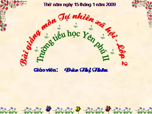 Bài 19. Đường giao thông