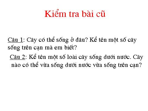 Bài 25. Một số loài cây sống trên cạn