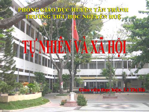 Bài 20. An toàn khi đi các phương tiện giao thông