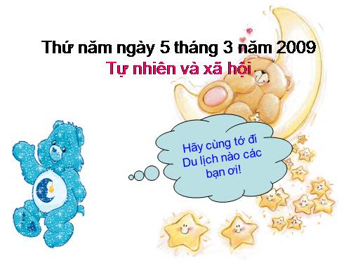 Bài 24. Cây sống ở đâu?