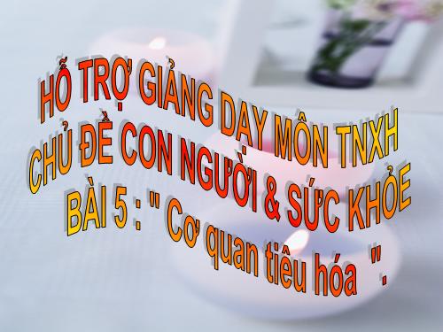 Bài 23. Ôn tập: Xã hội