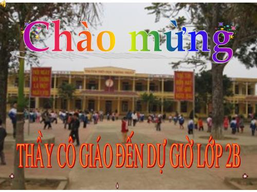 Bài 30. Nhận biết cây cối và các con vật