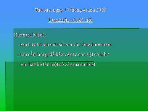 Bài 30. Nhận biết cây cối và các con vật