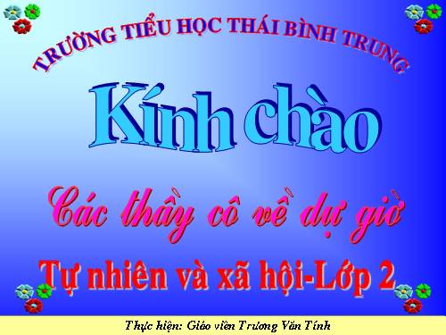 Bài 25. Một số loài cây sống trên cạn