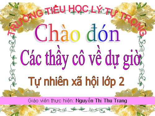 Bài 20. An toàn khi đi các phương tiện giao thông