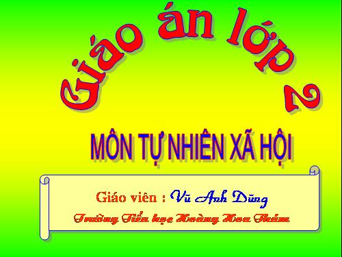 Bài 9. Đề phòng bệnh giun