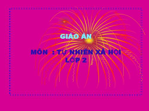Bài 30. Nhận biết cây cối và các con vật