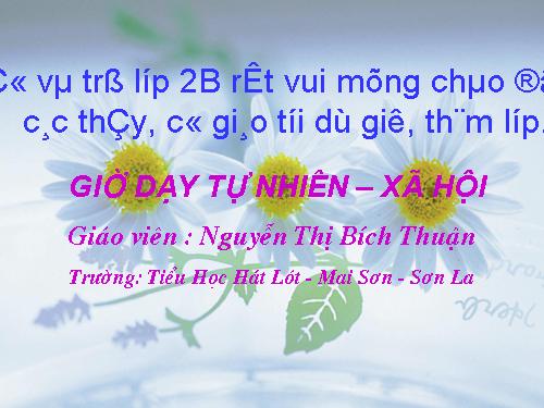 Bài 8. Ăn, uống sạch sẽ