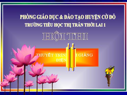 Bài 20. An toàn khi đi các phương tiện giao thông