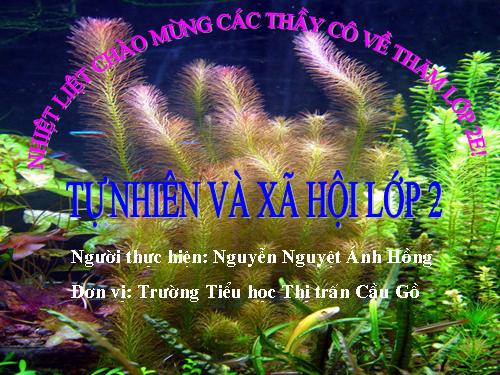 Bài 26. Một số loài cây sống dưới nước