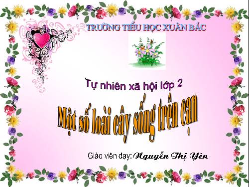 Bài 25. Một số loài cây sống trên cạn