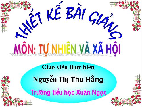 Bài 23. Ôn tập: Xã hội