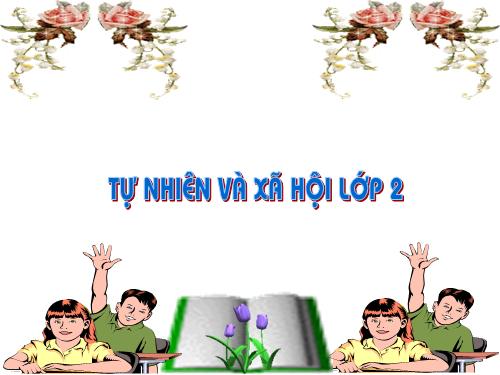 Bài 24. Cây sống ở đâu?