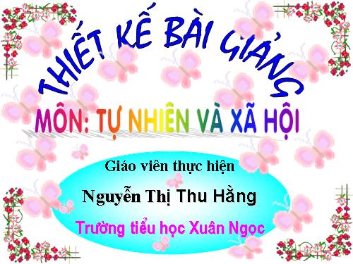 TNXH lớp 2 HOT